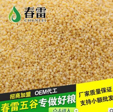 劃算的熟小米供應(yīng)，盡在東旭糧油調(diào)味品——品質(zhì)與價(jià)值的完美平衡